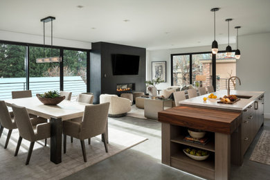 Dining room - contemporary dining room idea in Other