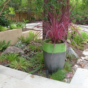 Lafayette Modern Patio & Outdoor Kitchen