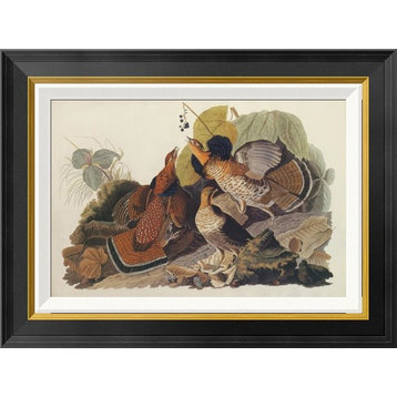 "Ruffed Grouse" Framed Canvas Giclee by John James Audubon, 24"x18"