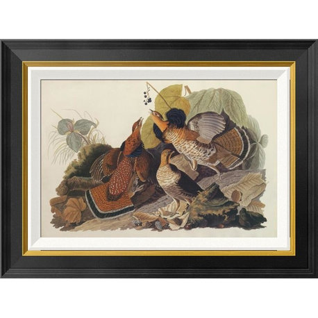 "Ruffed Grouse" Framed Canvas Giclee by John James Audubon, 24"x18"