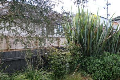 Ejemplo de jardín de secano actual de tamaño medio en patio delantero