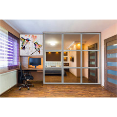 Mirrored Sliding Closet Doors 60 x 80 (Double 31 x 80) with Hardware  Kit & Floor Guide, Mirror Interior Doors Easy Install