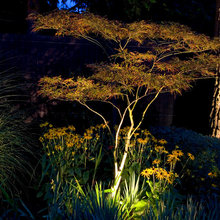 Garden Lighting