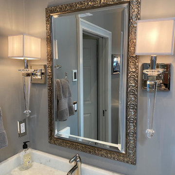 Sophia mirrored medicine cabinet