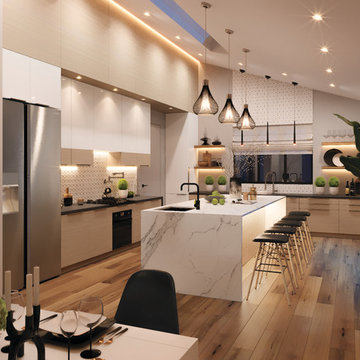 Modern/contemporary house