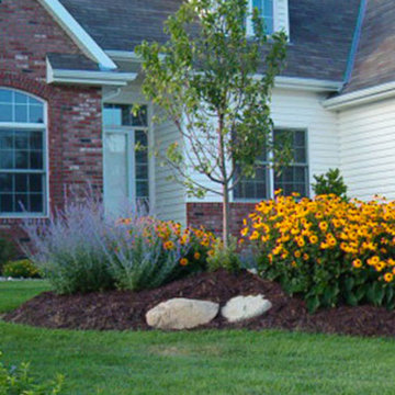 Landscape Gallery