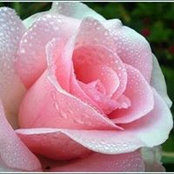 Abeer Aqeel's photo