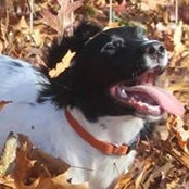 Donna Prout's photo