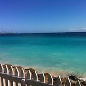 Mark Tiernan's photo