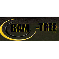 BAM TREE EXPERTS LLC