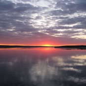 The Mrs W's photo