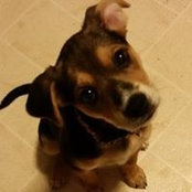 Vanessa Voorhees's photo