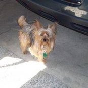 Wendy Morgan's photo