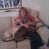 Jane Blanken's photo