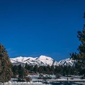 Cathy Beam's photo