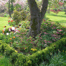 underplanting