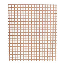 Lattice