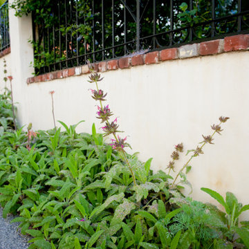 Sage-Softened Parkway