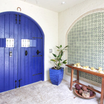 Speakeasy Blue arched double doors.