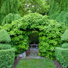 Exterior Ideas