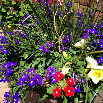 Annual Container