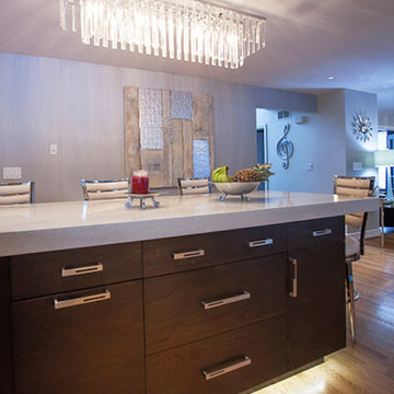 Customized Contemporary Kitchen - South Hanover, MA