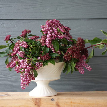 Slow Valentine's Bouquet Step Two