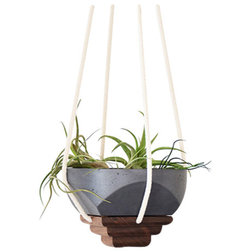 Contemporary Indoor Pots And Planters by Alice Tacheny Design