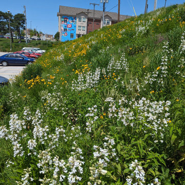 University of Nebraska Medical Center Parking Lot Meadows