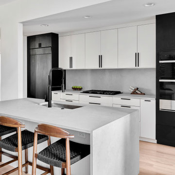 Minimalistic Kitchen Remodel In Near North (Chicago, IL)