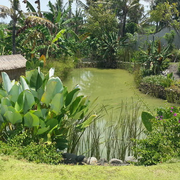 Hawa Sawah, Bali - Tropical Landscape Design