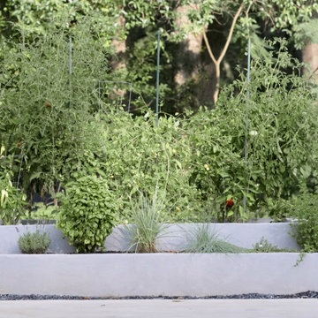 Modern Planters