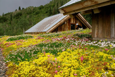 Inspiration for a mid-sized rustic partial sun rooftop landscaping in Denver.