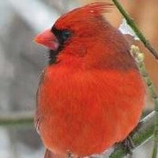 Michelle Hadley's photo