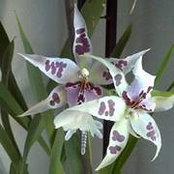 Linda Hall Erickson's photo
