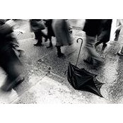Andrew Maxwell's photo