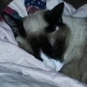 Sheri Hocker's photo