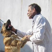 Foto de Milenko-Mićo Predragovic
