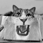 Foto von likesnicethings