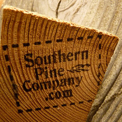 Southern Pine Company of Georgia