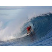 Steve Howard's photo