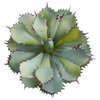 11" Succulent Artificial Plant
