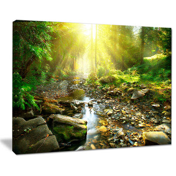 "Mountain Stream in Forest" Landscape Photo Canvas Print, 20"x12"