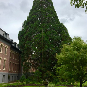 Mt Angel Monastery - Strolling Garden