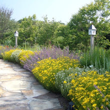 Pool Landscaping