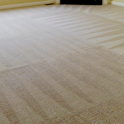 Harry`s Carpet Cleaning Gardena - Products