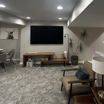 Basement Living Spaces