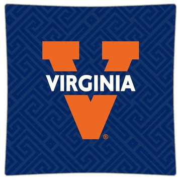 University of Virginia Plate