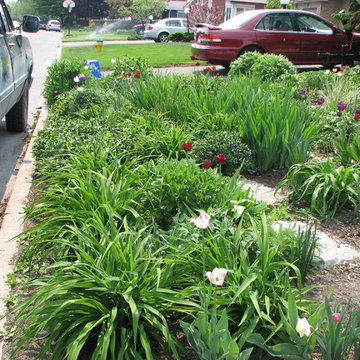 front yard