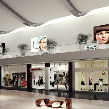 Conceptual Designs